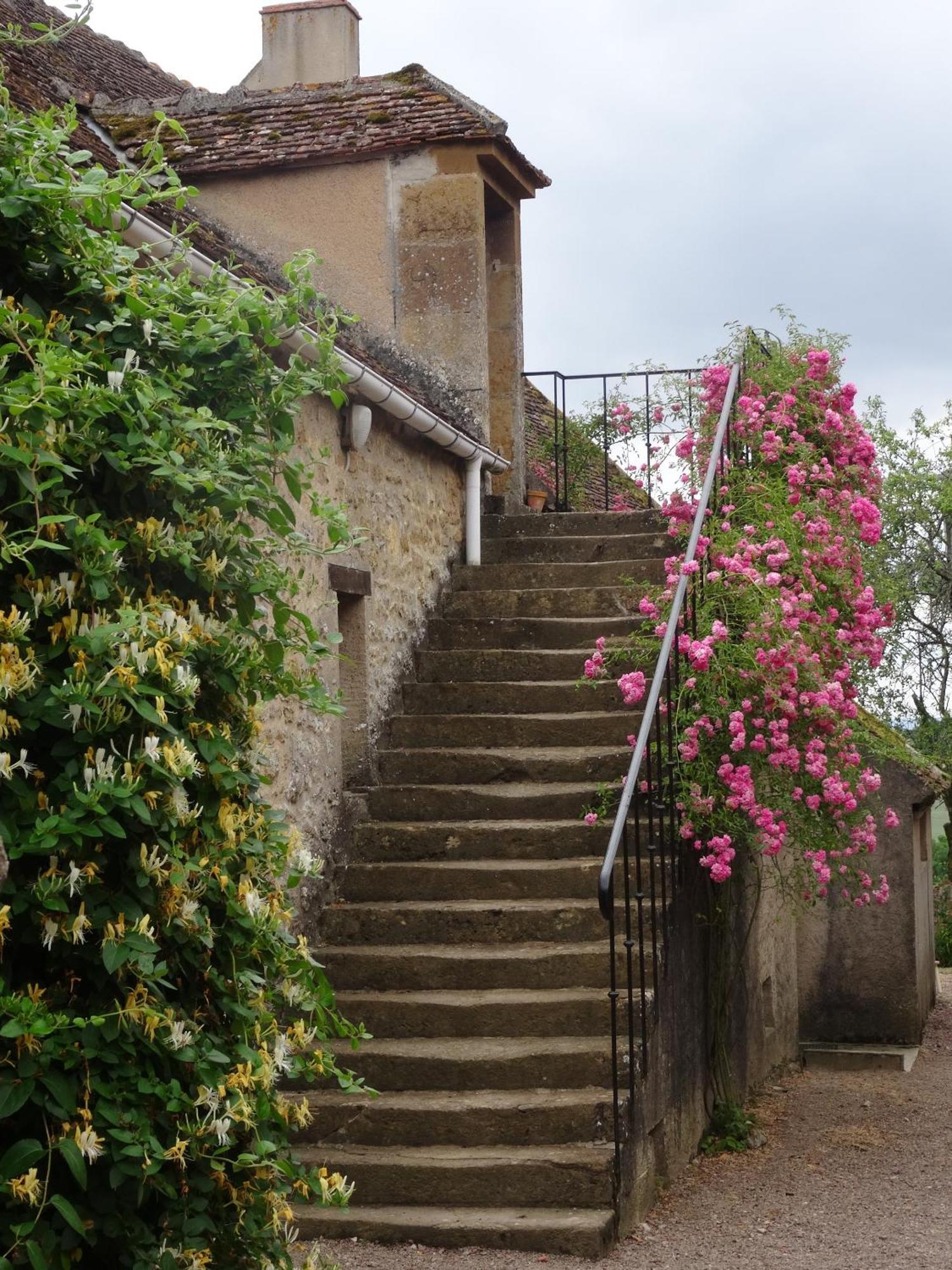 Domaine De Dremont Anthien Exterior foto