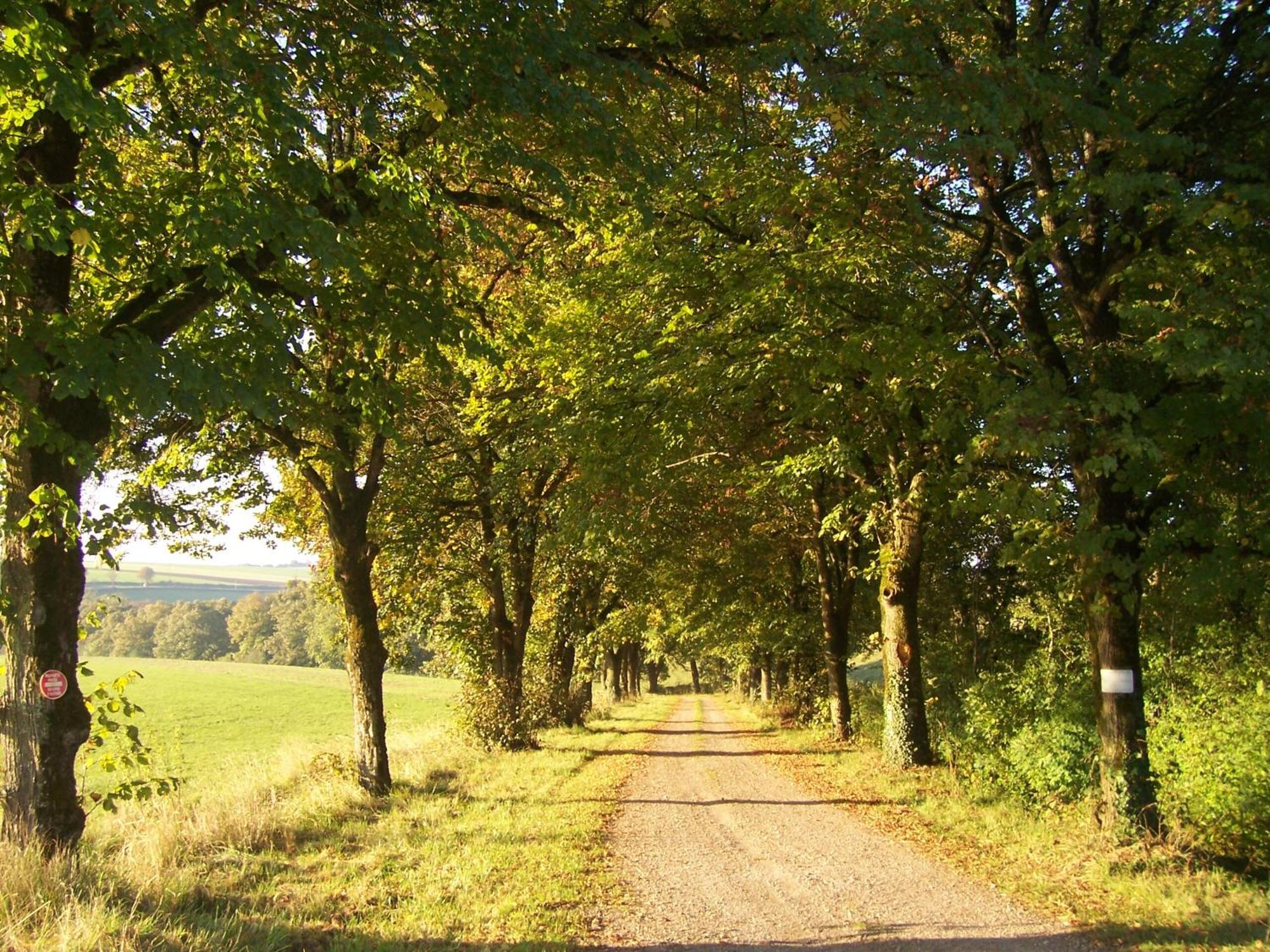 Domaine De Dremont Anthien Exterior foto