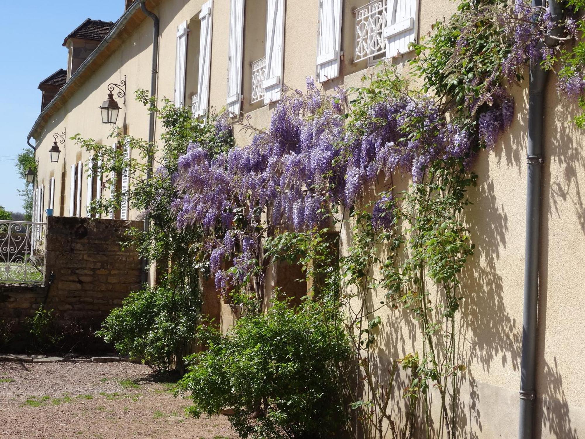 Domaine De Dremont Anthien Exterior foto