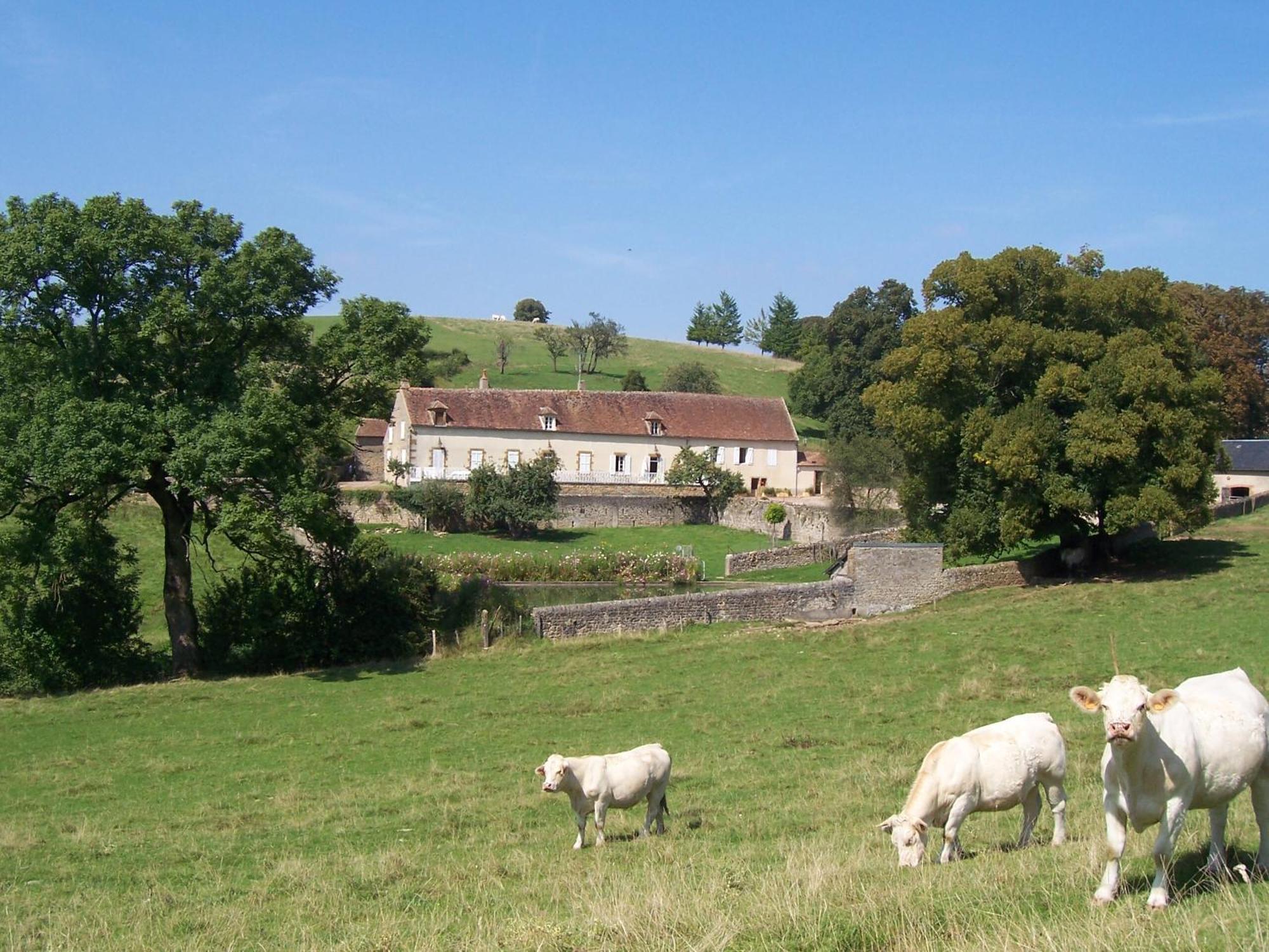 Domaine De Dremont Anthien Exterior foto